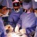 Veshka e transplantuar e derrit funksionoi te njeriu për një rekord prej 271 ditësh -