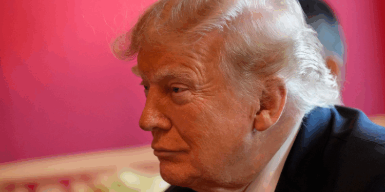 Videoja e Trumpit zemëron opozitën, keqpërdorim i parave publike apo mesazh patriotik? (VIDEO) -