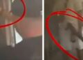 “Western” në mes të lokalit në Velipojë, plas ‘kallashi’ dhe pistoleta pas sherrit të dhunshëm! Dy persona nxorën armët dhe… (VIDEO)