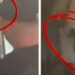 “Western” në mes të lokalit në Velipojë, plas ‘kallashi’ dhe pistoleta pas sherrit të dhunshëm! Dy persona nxorën armët dhe… (VIDEO)