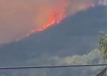 Zjarr i përmasave të mëdha në kodrat e Shkodrës, flakët përhapen me shpejtësi, ndërhyrje me helikopter për mbrojtjen e banesave