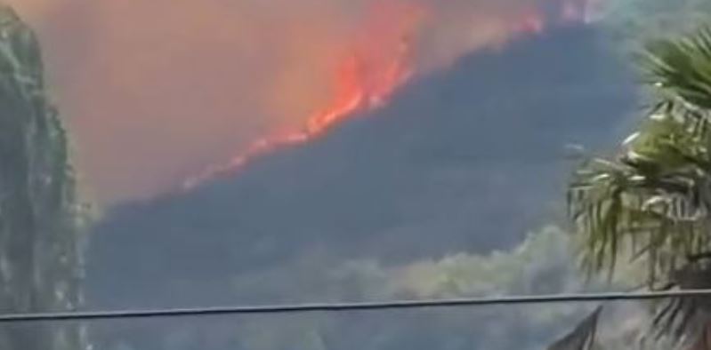 Zjarr i përmasave të mëdha në kodrat e Shkodrës  flakët përhapen me shpejtësi  ndërhyrje me helikopter për mbrojtjen e banesave