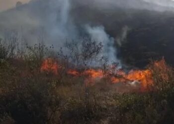 Vatër e madhe zjarri në Finiq, digjet një sipërfaqe me pemë dhe shkurre, rrezikohen edhe banesat