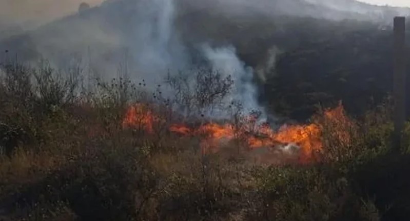 Vatër e madhe zjarri në Finiq  digjet një sipërfaqe me pemë dhe shkurre  rrezikohen edhe banesat