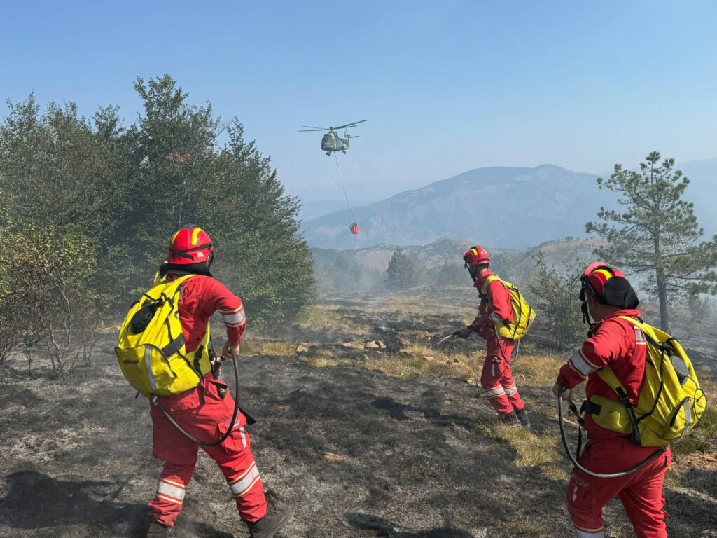 Si paraqitet situata nga zjarret? Problematika në Shkodër, Dajt, Dibër, Lezhë e Berat