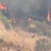 Zjarr i fuqishëm në Kavajë, flakët i afrohen banesave, kërkohet ndërhyrja nga ajri!