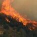 Zjarr i madh në Parkun Natyror të Viroit në Gjirokastër, dyshohet i qëllimshëm