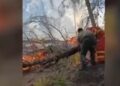 Zjarri në Mallakastër, riaktivizohen vatrat në Çërrilë, era dhe temperaturat e larta favorizojnë flakët (VIDEO)