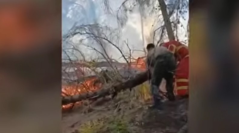 Zjarri në Mallakastër  riaktivizohen vatrat në Çërrilë  era dhe temperaturat e larta favorizojnë flakët  VIDEO 
