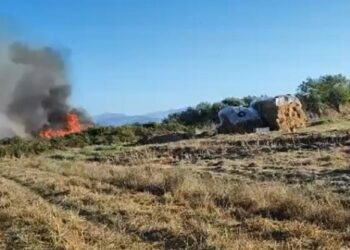 Zjarr i madh edhe në zonën e Nartës, era e fortë favorizon përhapjen e flakëve pranë banesave