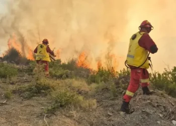 Bilanci i zjarreve në vend: 21 vatra në 24 orë, 5 ende aktive