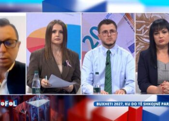 Bonusi mujor për fëmijët deri në 5 vjeç/ Ekspertët: Ndihmë pozitive, por nuk mjafton për të rritur lindshmërinë