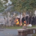 Koçiu shpërthen pas sulmit me molotov ndaj policisë: Koha kur hidhnin gurin dhe fshihnin dorën ka mbaruar