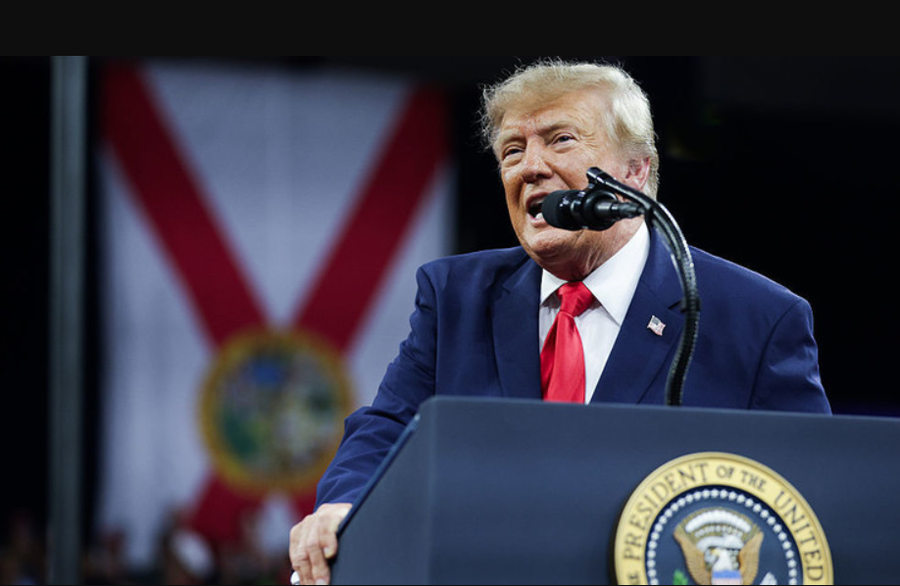 Trump ofron shpërblim 1 milion dollarë për ata që raportojnë mashtrime me votat