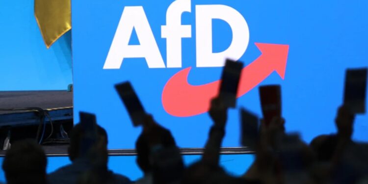 AfD bën thirrje për ndërprerjen e mbështetjes për Ukrainën -