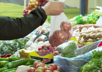 Inflacioni ngadalësohet, por çmimet vijojnë rritjen, transporti shtrenjtohet me 12.4%