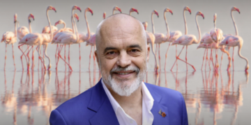 24 orë pas lançimit, “Flamingo Mirror” sulmohet 122 herë, Rama: Është vetëm fillimi i përballjejes mes fakteve dhe llumit anti-shtet