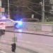 Aksident i pazakontë në Pragë, momenti kur makina e policisë bie në lumë (VIDEO) -