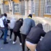 Flamingo, revolucioni i krijuar në inkubator