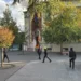 Protestuesit i vënë flakën Ministrisë së Bujqësisë