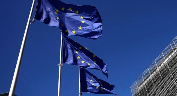 KE e mbron delegacionin vëzhgues të zgjedhjeve të PE-së të cilin e kundërshton Serbia