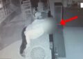 EMRI/ Grabiti katër biznese në dhjetë ditë, arrestohet 30-vjeçari i shpallur në kërkim, ishte me precedentë për vjedhje! (VIDEO)