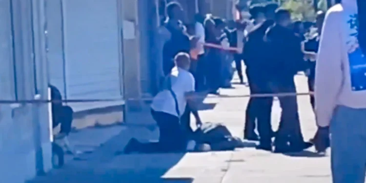 Plagoset me thikë një 7-vjeçare në SHBA, humb jetën. Arrestohet autorja -