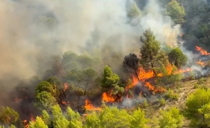 Zjarret në Peqin  shoqërohet në Polici autori i dyshuar i si piroman 