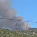 Situatë kritike nga zjarret në Peqin, flakët përfshijnë disa fshatra, dhjetëra forca dhe dy helikopterë në terren!