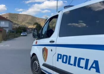 “Më qëlluan prindërit”! Zbardhet dëshmia e autorit të vrasjes të 2 vëllezërve në Kamëz