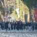 Dita e katërt e protestës, Policia shpërndan turmën me ujë dhe gaz lotsjellës, i largon nga bulevardi te Kryeministria dhe nis shoqërimet! (FOTO)