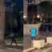 Ndodh çudia në Bulevard, qytetari bën vrapimin e mbrëmjes para Kryeministrisë, i pafrikësuar nga gurët dhe molotovët! (VIDEO)