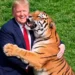Trump shpërndan videon me inteligjencë artificiale, shfaqet i përqafuar me një tigër! Shkakton reagime
