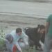 Studentët zhvendosin protestën te Kryeministria, krijojnë barrikadë me të rinjtë dhe grumbullojnë pirgje gurësh për të goditur Policinë! (FOTO)