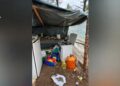 Zbulohet plantacioni i kanabisit brenda një pylli në Spanjë, në pranga 4 shqiptarët! Strehoheshin në tenda kampingu