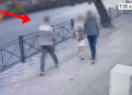 Vjedhje me dhunë dhe grabitje automjetesh në Tiranë dhe Rinas, arrestohen 4 persona