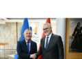 Reforma në Drejtësi dhe integrimi i Shqipërisë në BE, ministri Gogu takohet me Komisionerin Europian McGrath!