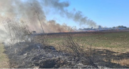 Zjarr i madh në Libofshë  era favorizon flakët që përhapen me shpejtësi drejt tokave bujqësore