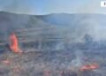 I vuri zjarrin tokës në Divjakë, kapet pranë vatrës së flakëve 29-vjeçari i dyshuar