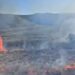 I vuri zjarrin tokës në Divjakë, kapet pranë vatrës së flakëve 29-vjeçari i dyshuar