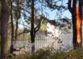 VIDEO/ Kukës, përfshihet nga flakët kurora e pishave pranë gjimnazit të qytetit