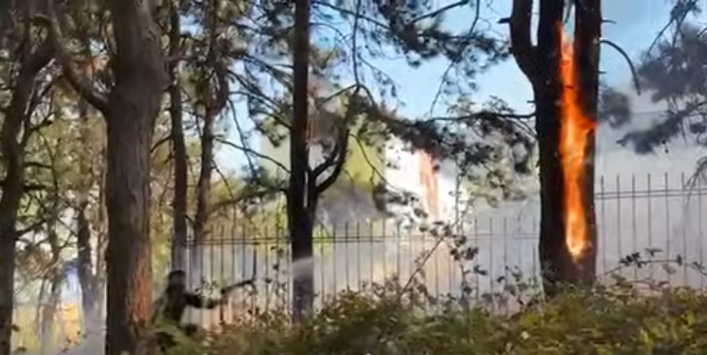VIDEO  Kukës  përfshihet nga flakët kurora e pishave pranë gjimnazit të qytetit