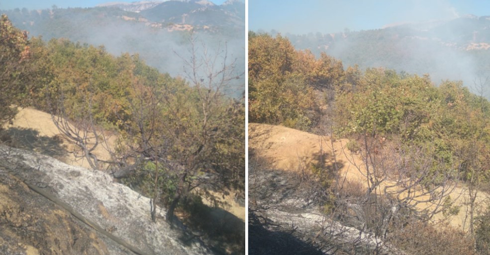 Zjarr në fshatin Mallunxë të Matit  terreni i thyer vështirëson punën e forcave në aksion 